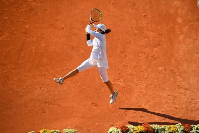 帕梅卡诺因 帕梅卡诺因