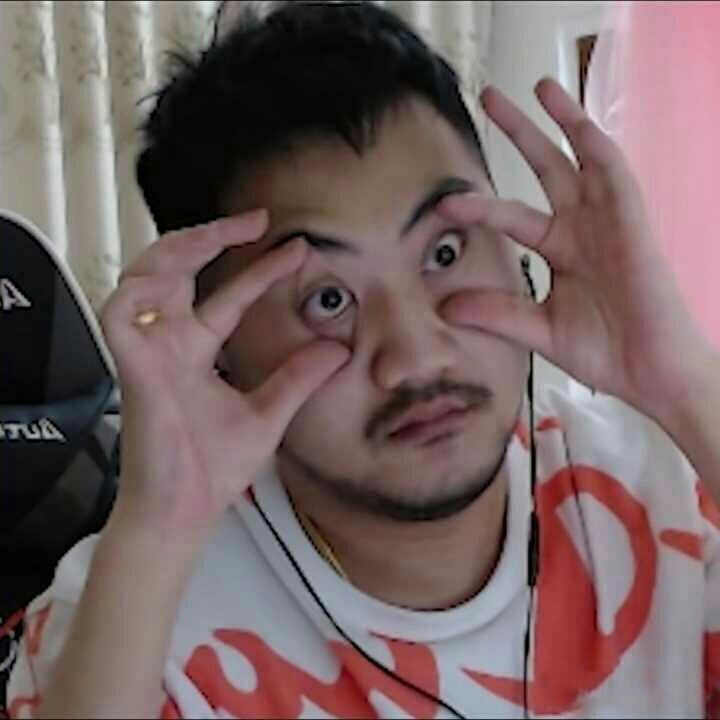 的众多豪门 的众多豪门