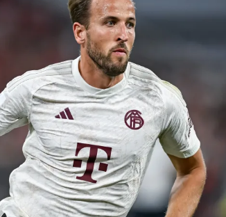 这些新秀球 这些新秀球