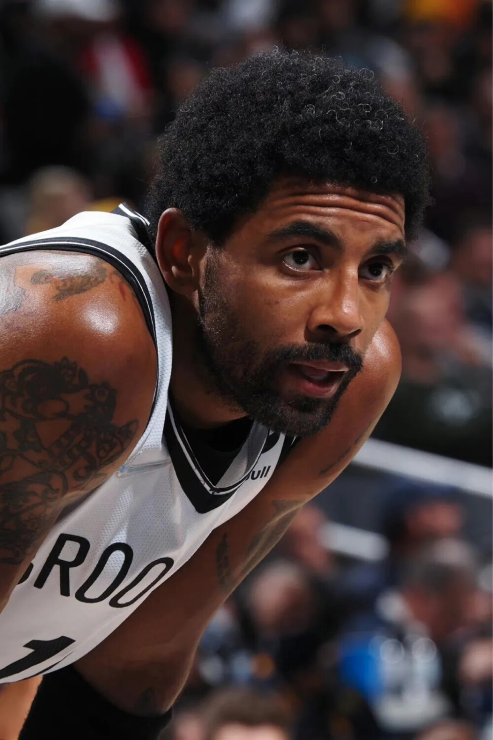 总的来看 总的来看