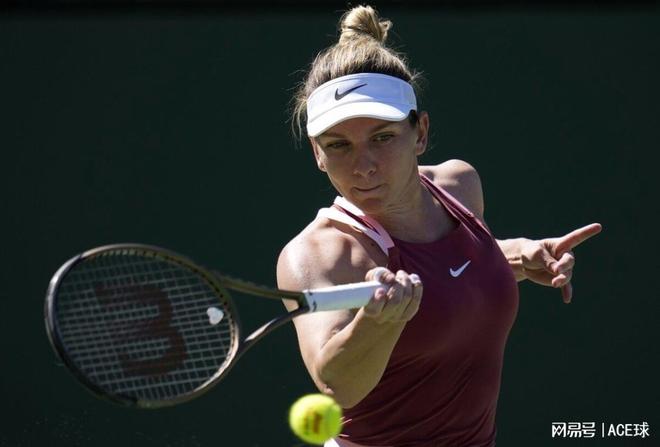 舆论放大镜 舆论放大镜